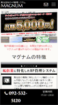 Mobile Screenshot of magnum-f.info